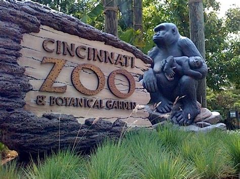 Cincinnati zoo & botanical garden cincinnati - Then after the fun, curl up in our private education classrooms overlooking our rainforest. Cost: $55/participant. Minimum payment is $825 for Overnight Adventure. For Schools only: paid school staff free. $45/participant for evening program only (Sunset Safari) Capacity: 15-90 participants (including chaperones/teachers). 
